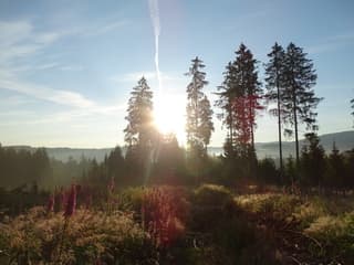 Zonsopkomst 