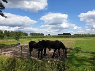 Wandel weer
