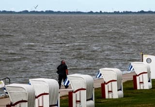 Frisse dag, wind, beetje zon.