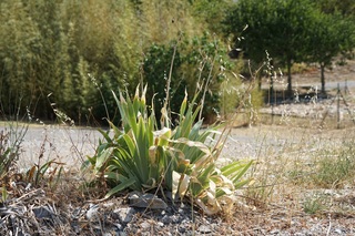 Hitte in de Ardeche