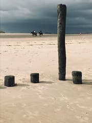 Donkere wolken boven het Zwin