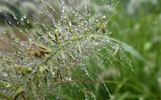 Vandaag lang herfst in 't zuiden.