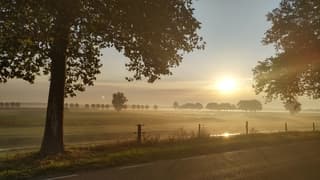 Haarsteeg
