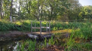 Veerpont wegens droogte uit de dienst genomen