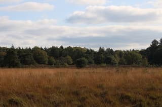 De mooie bosrijke omgeving in De kiel, Drenthe.