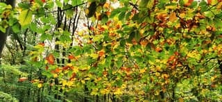 Kleurrijk in het jos 