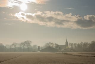 IJzig gras en een winterse lucht 