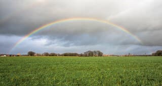 Regenboog Holthees NB