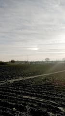 Bijzon (zon halo) boven Nieuw-Dordrecht, Drenthe ??