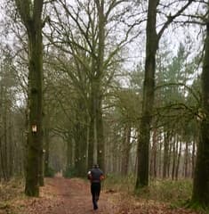 Laan met vogelkastjes