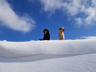 Prachtig weer in Tienhoven