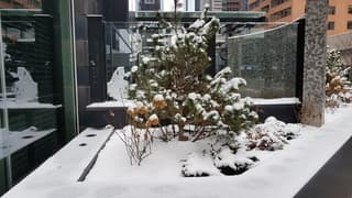 Winters wit