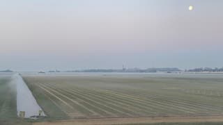 Dun laagje mist boven de velden