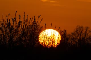Zonsondergang