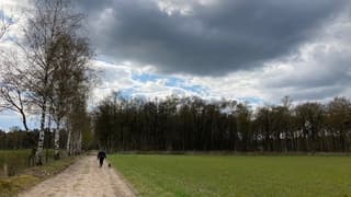 Dreiging in de Kampina