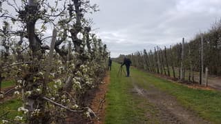 Wandelen tussen bloesem bij droog weer 