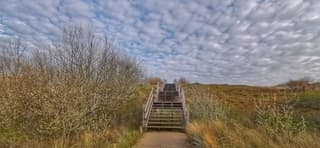 Mooi in de duinen