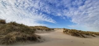 Mooi in de duinen 