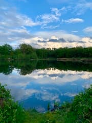 De Nieuwkuijkse Wiel