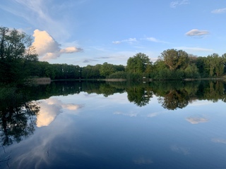 Wolkenvlinder