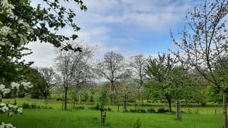 Na regen komt af en toe zonneschijn.