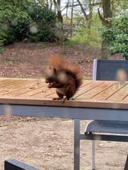 Hoe mooi is de natuur 