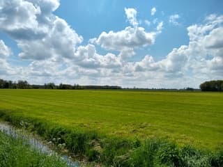 Lente genieten