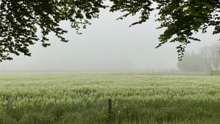 Beckum word steeds mistige