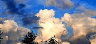 Flink opbollende Cumuluswolken.