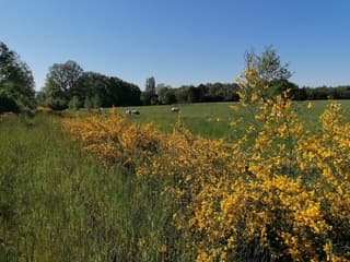 Weerfoto 