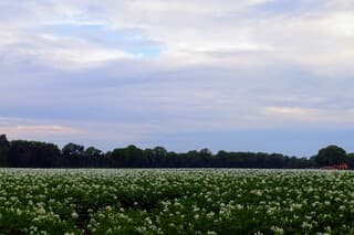 een beetje blauwe lucht