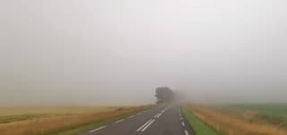 Mist 