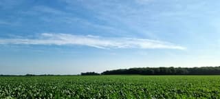Een licht sluierwolkje 