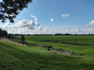 Weiland met stapelwolken