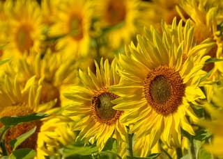 Een fijn weekend allemaal! 