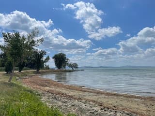 Waterpeil erg gedaald door droogte (lago Trasimeno)