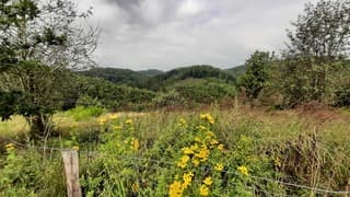 Heuvel wandeling in Luxemburg