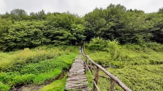Oversteek moeras in bergdal Luxemburg