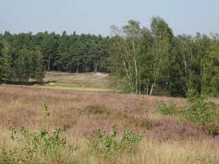 Welkom op de teveneheide 