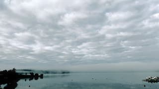 Mooie mistige ochtend Bostalsee