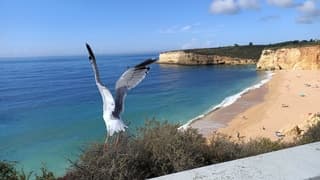 Heerlijk weer in Algarve