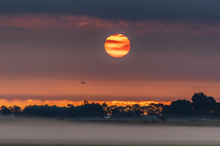 zonsopgang friesche landschap