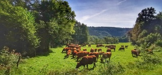 Prachtig mooi weer in de Eifel 