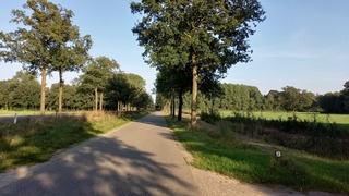 Lange schaduwen
