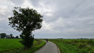 Heerlijk fietsweer vanmiddag 