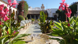 Patiotuin 