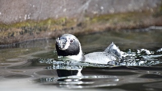 Lekker weertje. Even zwemmen.