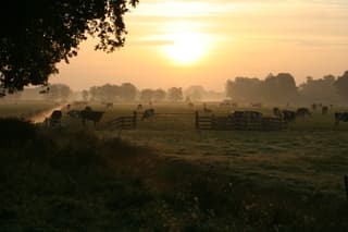 Zonsopgangswandeling