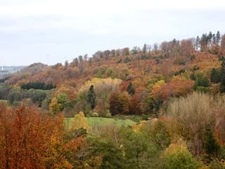 Geweldige kleuren….