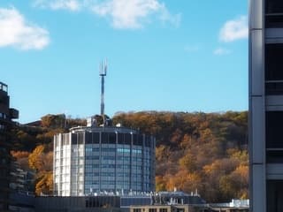 Mooi weer in Montreal